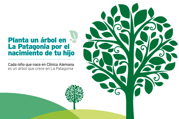 Reforestemos la patagonia Reforestemos la patagonia