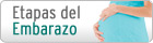 Etapas del Embarazo