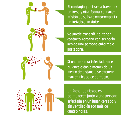 Infografía Meningitis